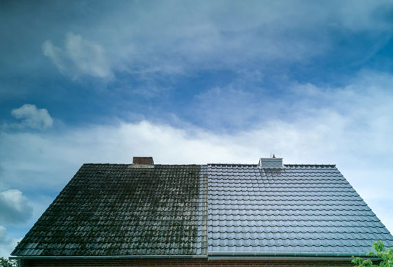 Roof-cleaning-img